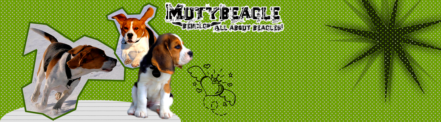 MutyBeagle